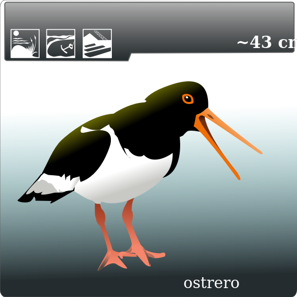 SVG ostrero
