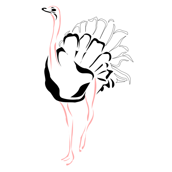 SVG Ostrich with pink legs vector illustration