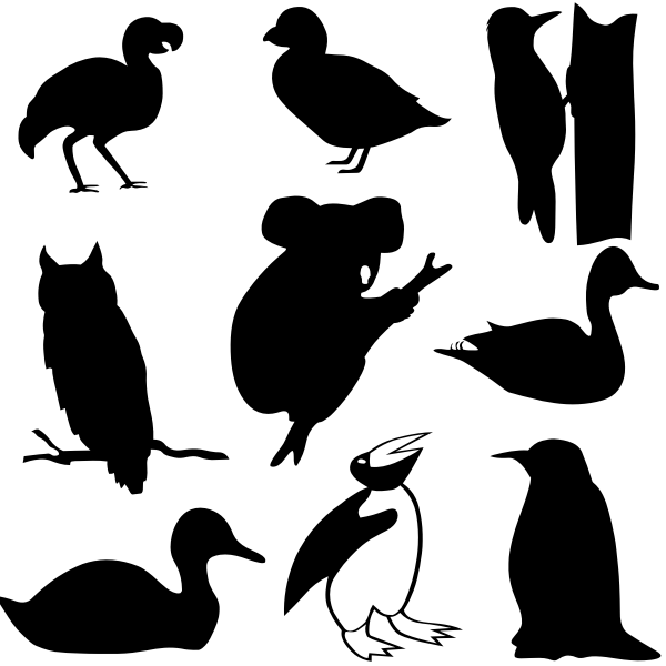 SVG Outline drawings of different bird species and a koala