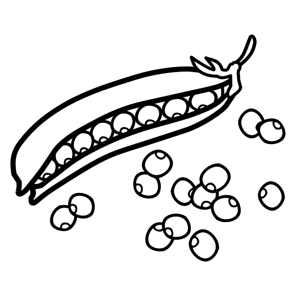 SVG Outline of peas vector graphics