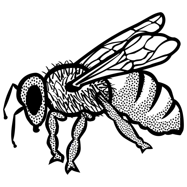 SVG Outline vector drawing of bee
