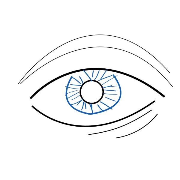 SVG Outline vector illustration of eye