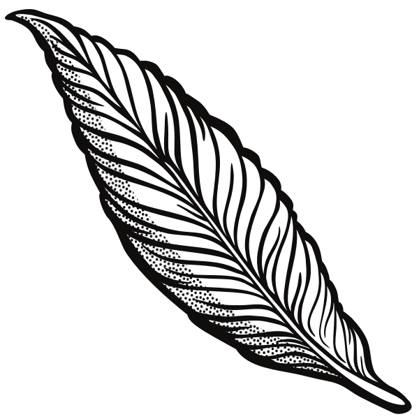 SVG Outlined feather