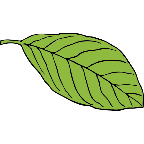 SVG oval leaf
