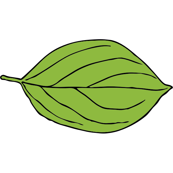 SVG oval leaf 2