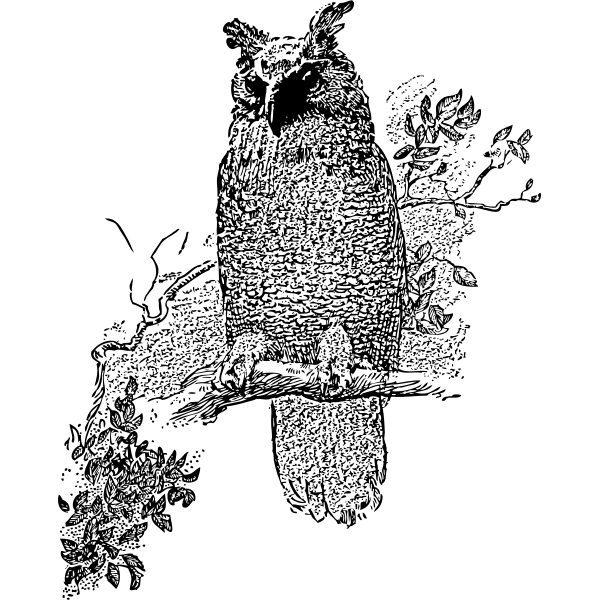 SVG owl