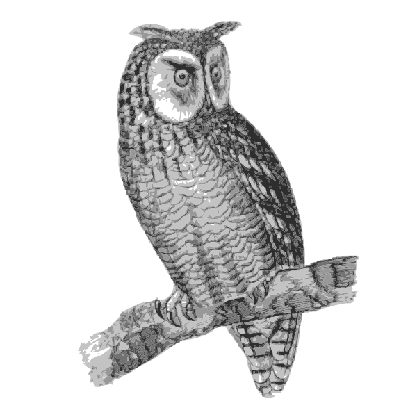 SVG Owl drawing