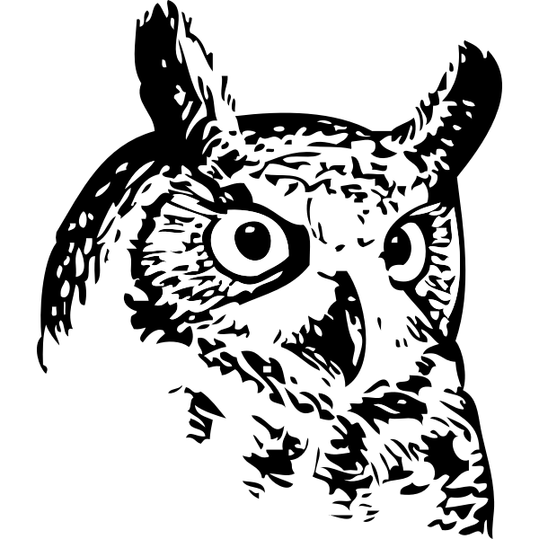 SVG Owl head vector image