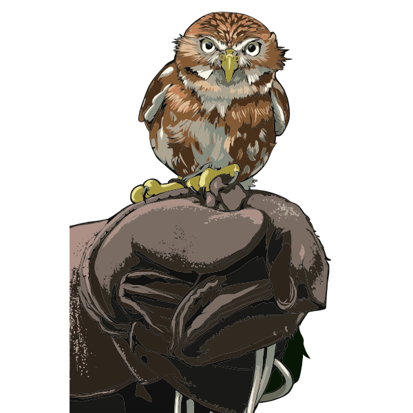 SVG Owl perched on gloved hand