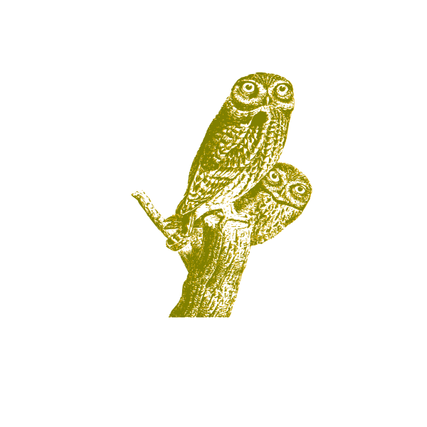 SVG Owls vintage