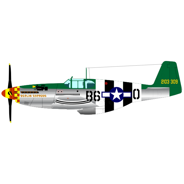 SVG P-51B fighter