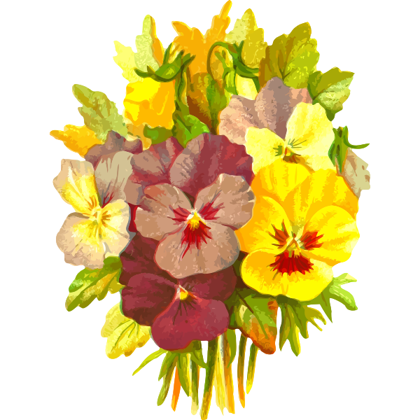 SVG Painted flowers vector image