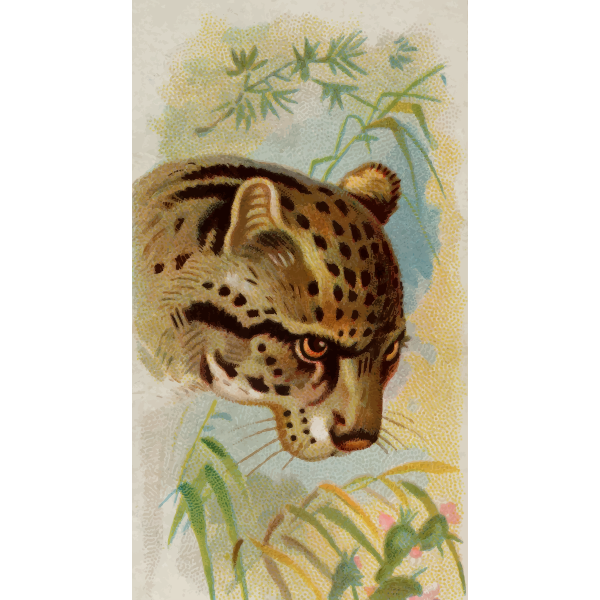 SVG Painted ocelot