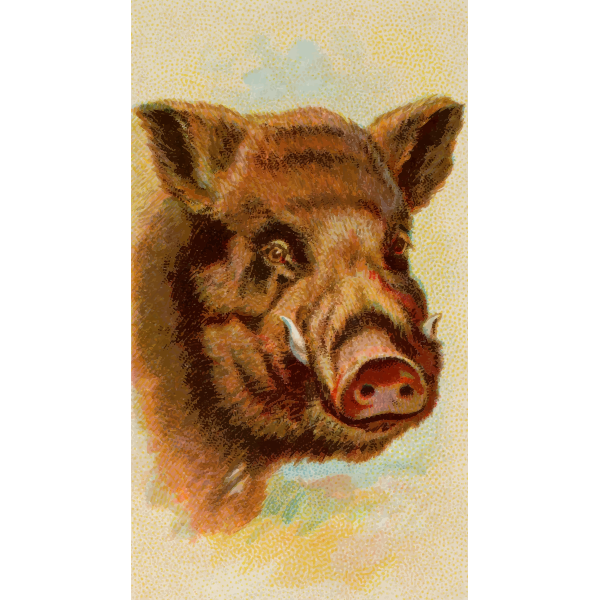 SVG Painted wild boar