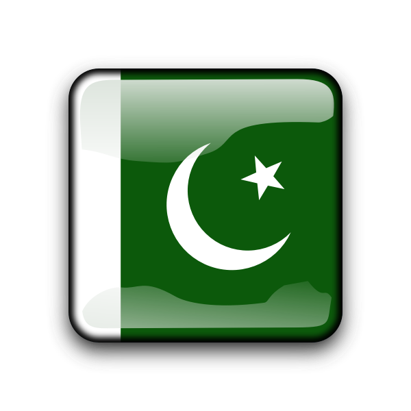 SVG Pakistan vector flag inside square shape