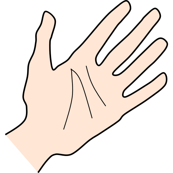 SVG Palm by Rones