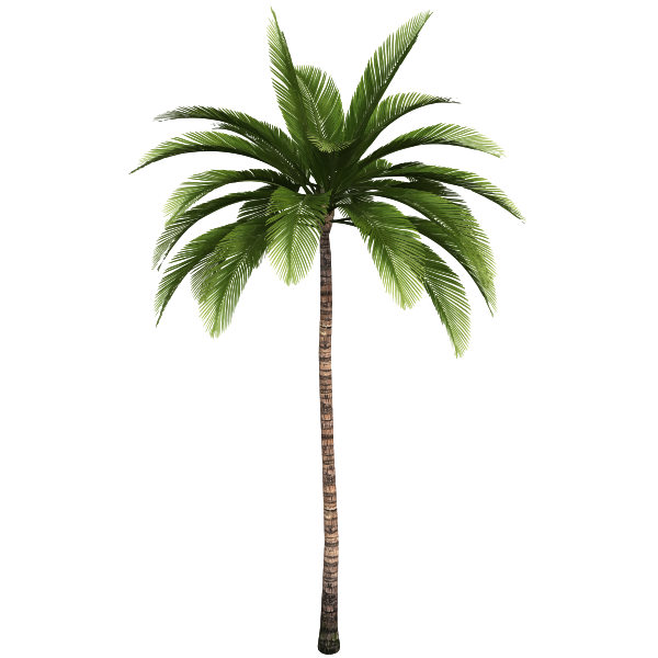 SVG Palm tree 8