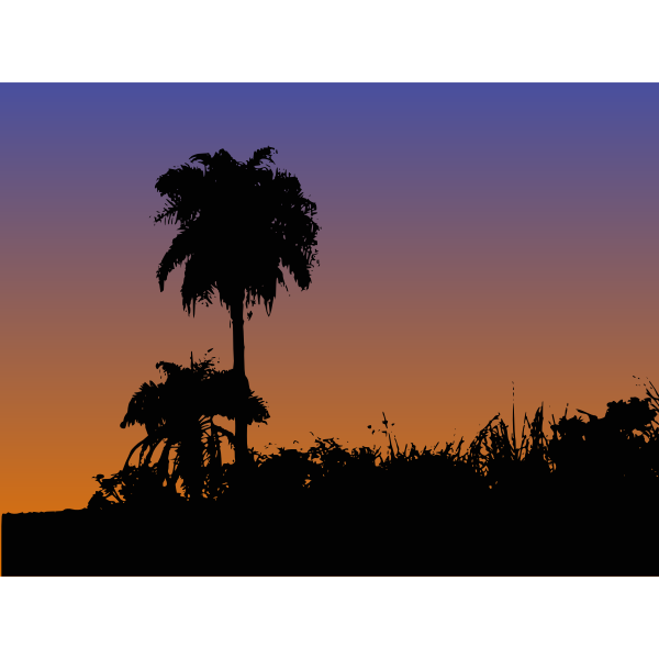 SVG Palm trees silhouette vector drawing