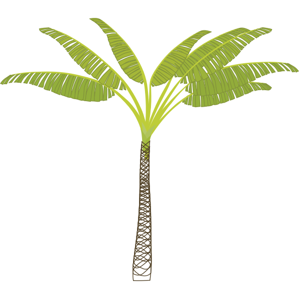 SVG palmtree