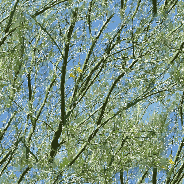 SVG palo verde tucson 2015082838