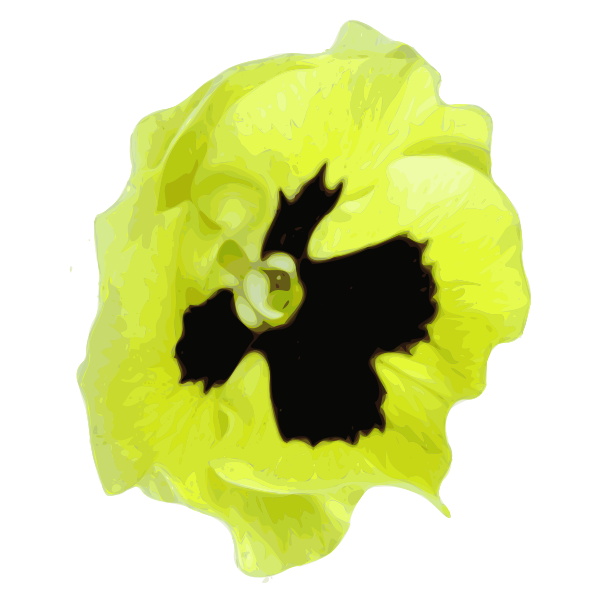 SVG Pansy vector graphics