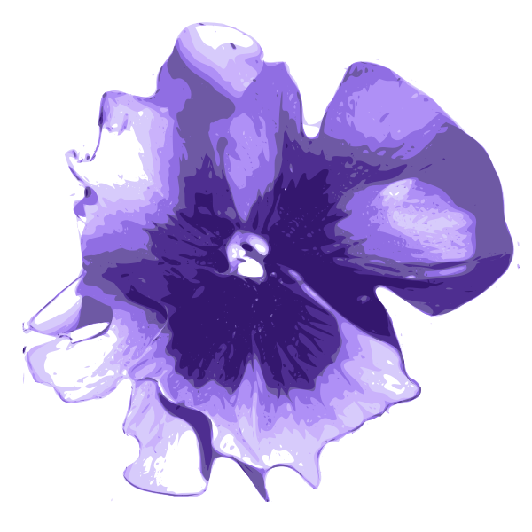 SVG Pansy vector image