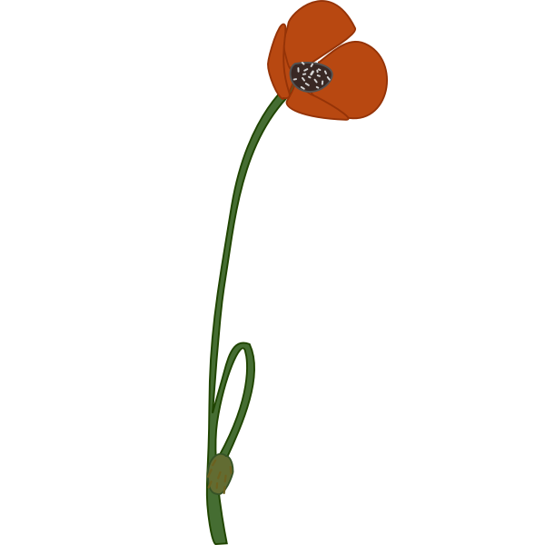 SVG papaver