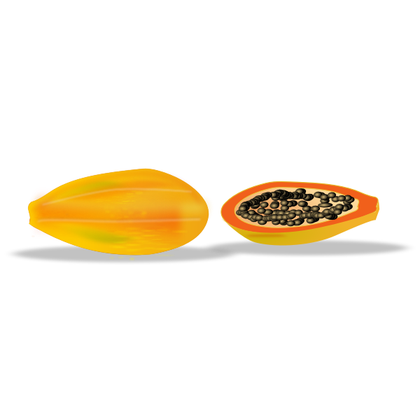 SVG Papaya