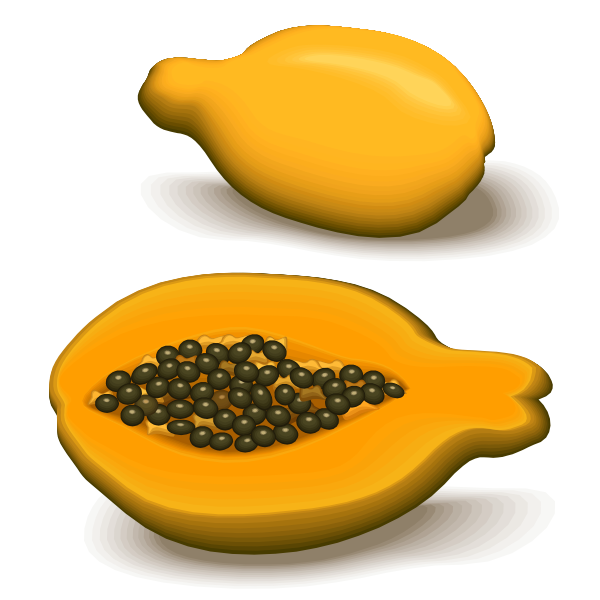 SVG Papaya and a half