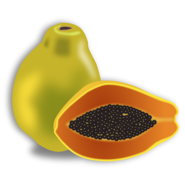 SVG Papaya fruit