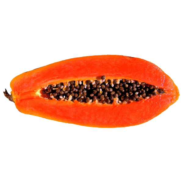 SVG Papaya slice