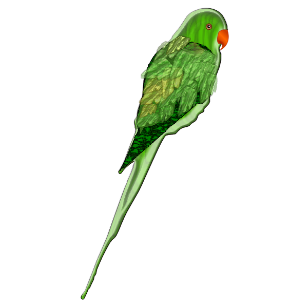 SVG parrot