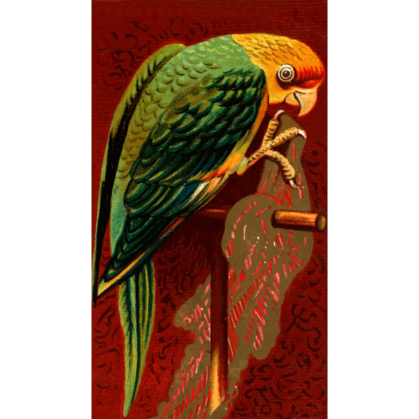 SVG Parrot standing