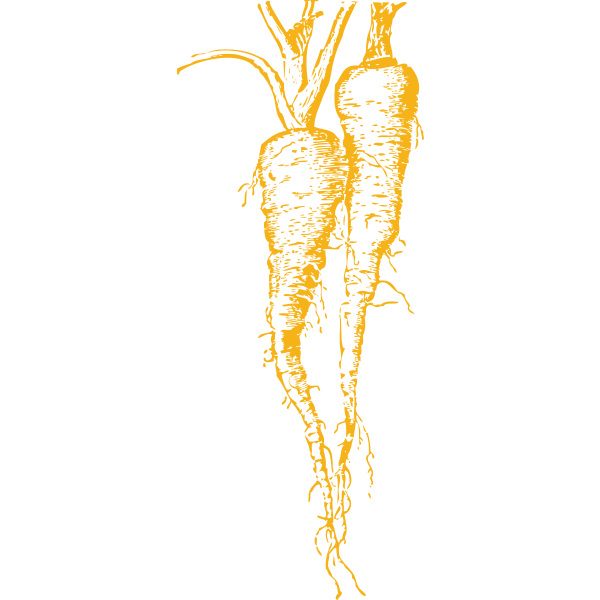 SVG parsnip