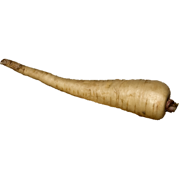 SVG Parsnip image