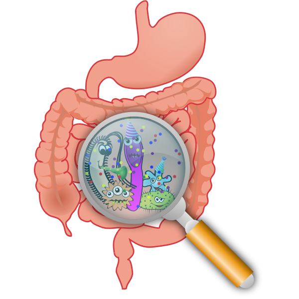 SVG Party in the intestines vector illustration