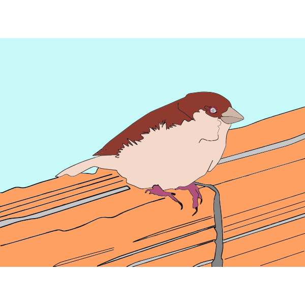SVG Passerine bird vector graphics