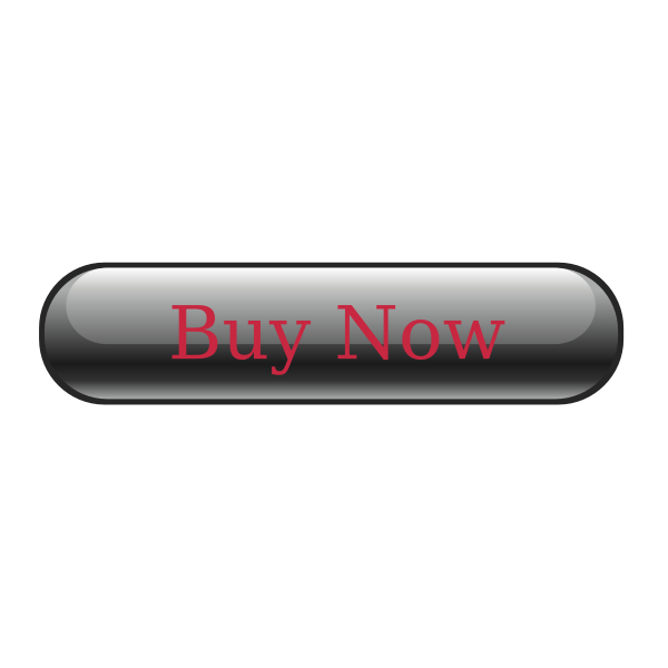 SVG Payment Button Vector