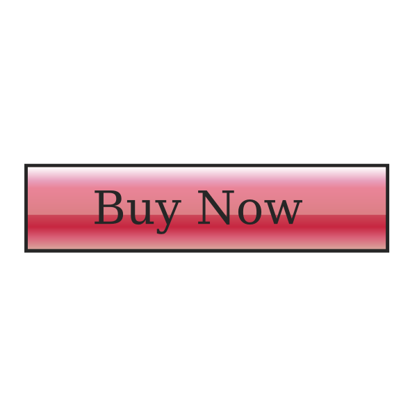 SVG Payment Button vector image