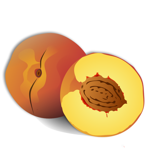 SVG Peach and a half