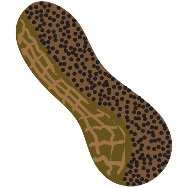SVG Peanut symbol