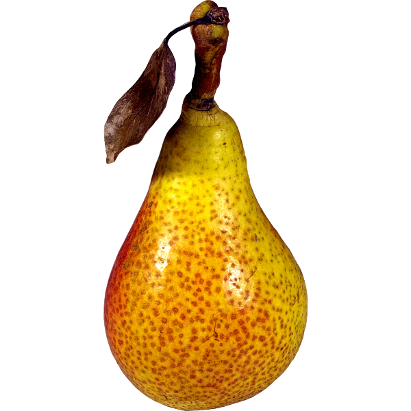 SVG Pear 2