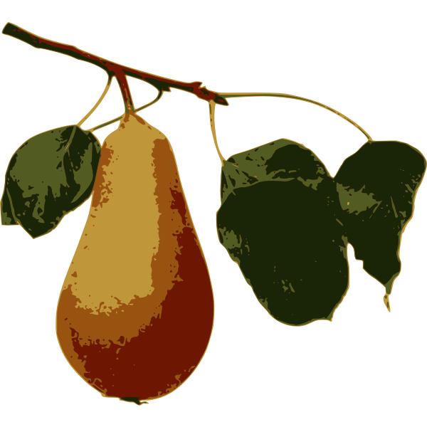 SVG Pear on a Branch