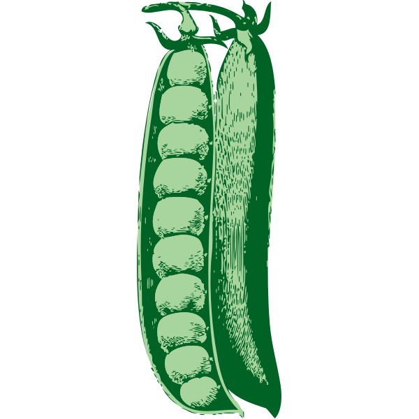 SVG Peas vector illustration