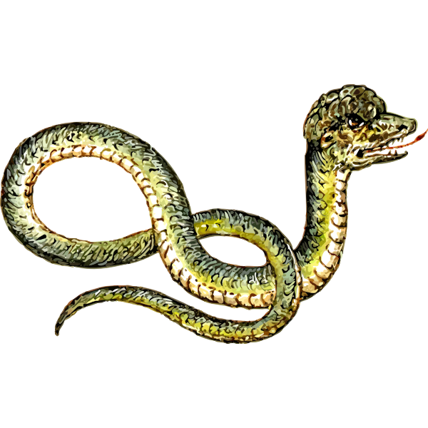SVG Peculiar snake
