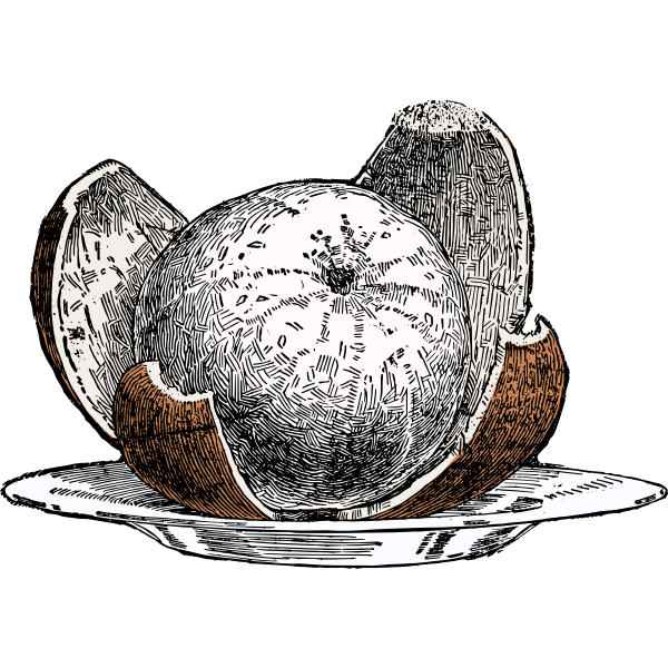 SVG Peeled orange-1584362514