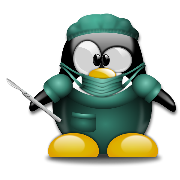 SVG Penguin surgeon vector image