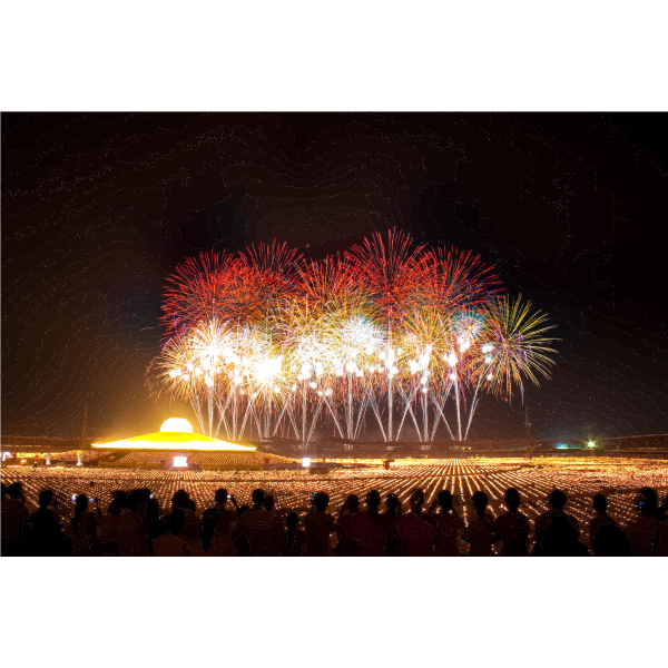 SVG People Watch New Years Eve FIreworks Celebration