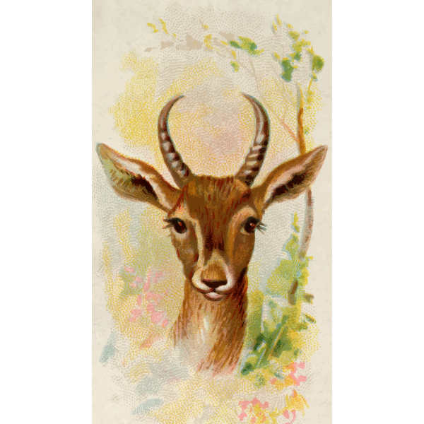 SVG Persian gazelle