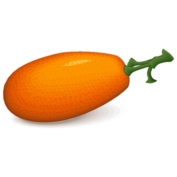 SVG Persimmon vector image